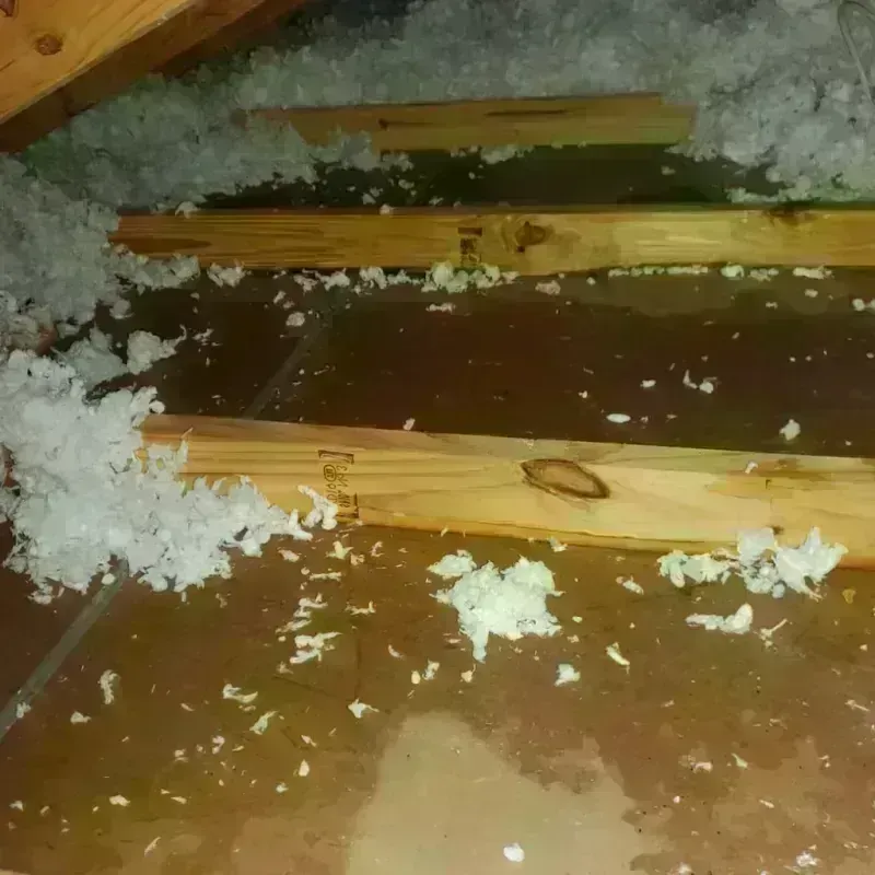 Attic Water Damage in Pass Christian, MS